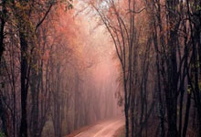 2007年欧洲冠军联赛决赛有哪些经典时刻和深远影响?