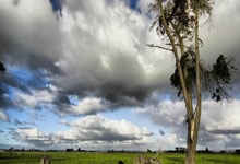 香港六合彩网站是否合法可靠?